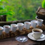 Bali Coffee Plantation