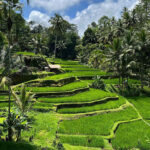 Batur-Volcano-Jeep-Sunset-Tirta-Empul-Temple-Rice-Terrace-Tour-1.jpg