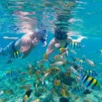 15c60b2d-c809-4018-b914-068aba8b3dc0_gili-paradise-islands-hoping-from-lombok-medium