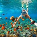 Senorkeling Nusa Lembongan