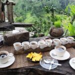 a73a0d54-3536-4b83-a7e5-dbbe8273a113_bali-interested-2-days-middle-north-south-beautiful-bali-customized-packages-medium
