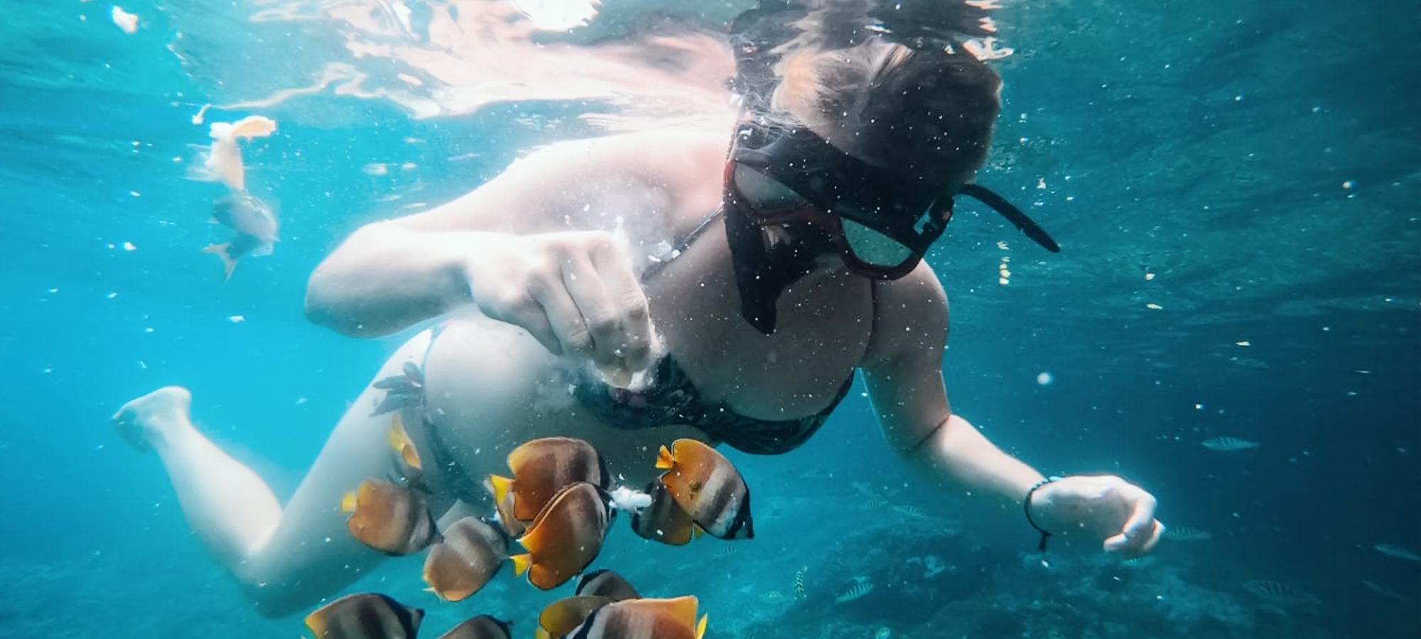 Snorkeling (1)