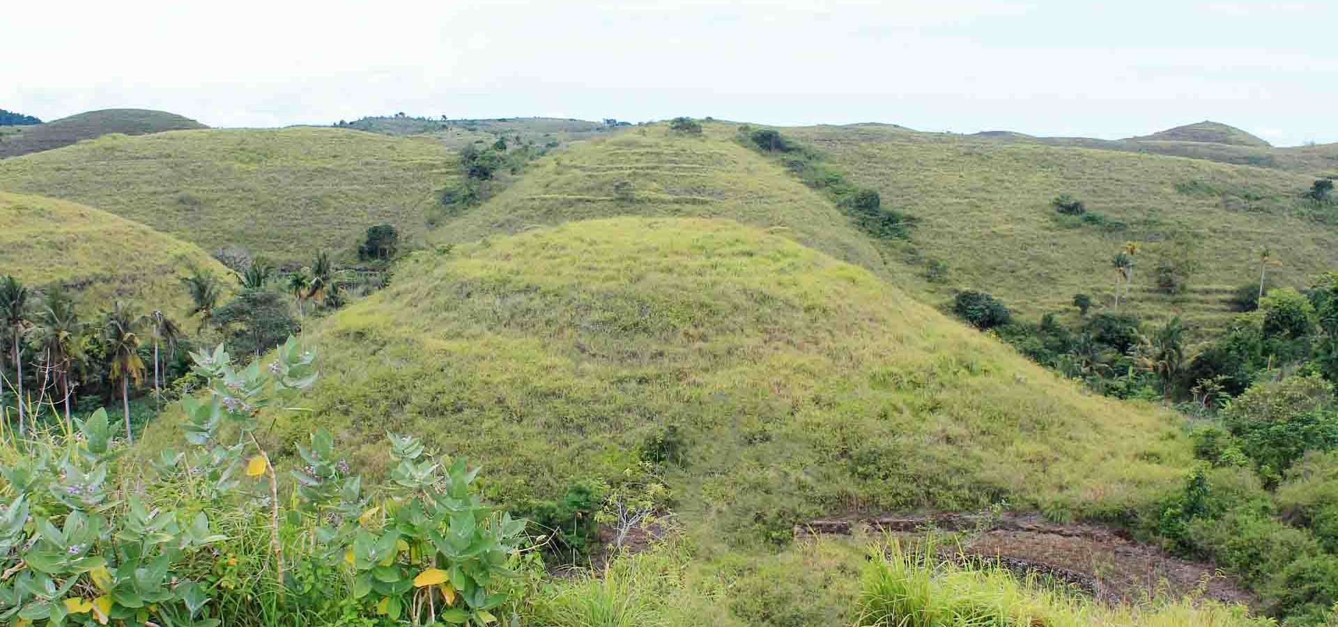 Teletubbies Hills