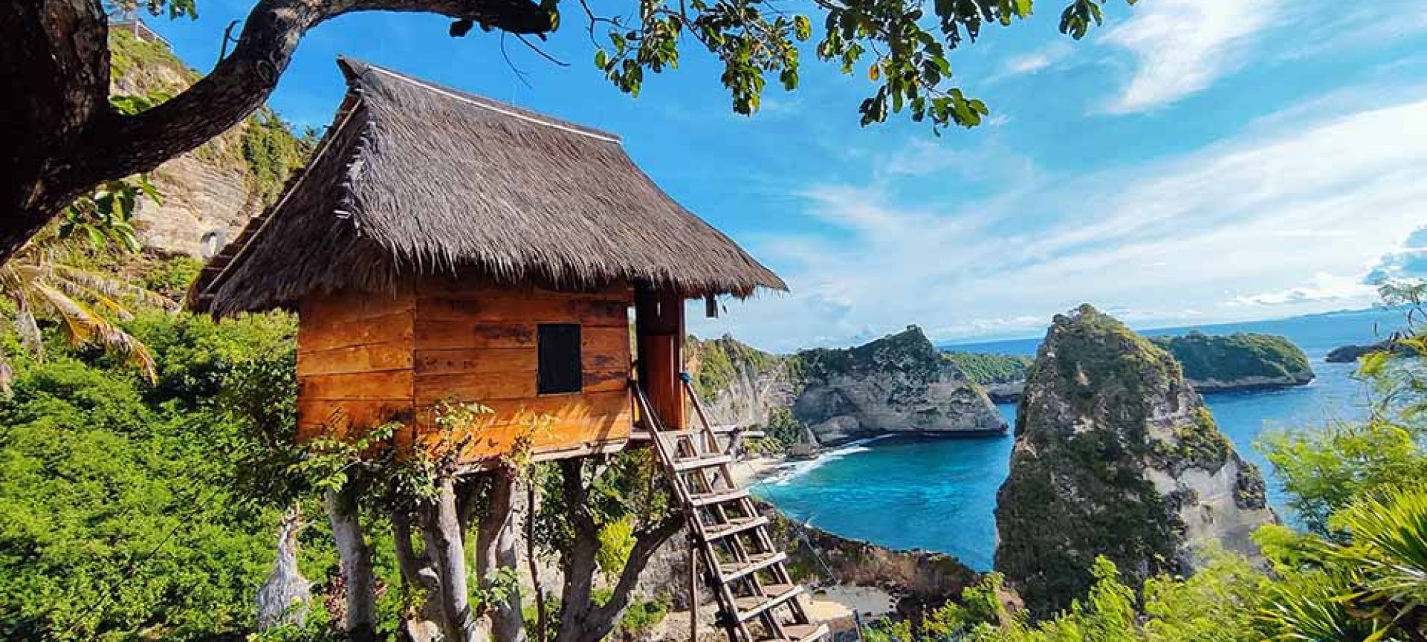 Tree House Molenteng